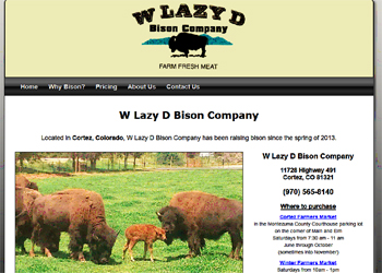 W Lazy D Bison